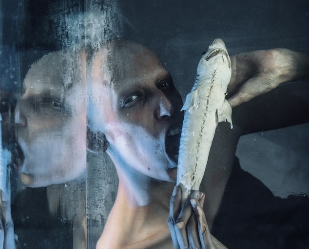 Bauernhofurlaub.de veröffentlicht eigenen Song: „So klingt Bauernhofurlaub“ – Hommage an Gastgeberhöfe