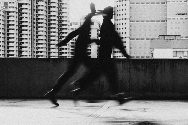 Historische Illustrationen von Getreidearten und -sorten: Exklusive Sammlung bei Quagga Illustrations