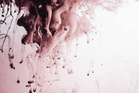 Meyer über Weimer: Ich vermisse die Transparenz in der ganzen Angelegenheit und das ohne Not