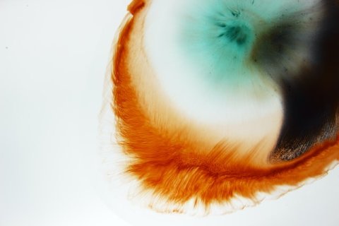 Spencers Tunick-Kunstinstallation „Retrato Alhambra 1925″ unterstreicht das 100-jährige Jubiläum der andalusischen Wurzeln von Cervezas Alhambra