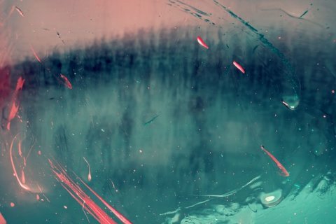 Pressekonferenz via Livestream