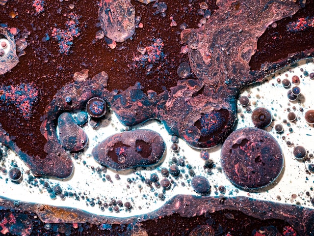 Der Krieg, der die Ukraine veränderte: Ukrainische Novellen, Gedichte und Essays