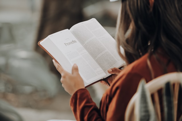 Habermas, Russland und die deutsche Streitkultur – die besten Sachbücher im Oktober