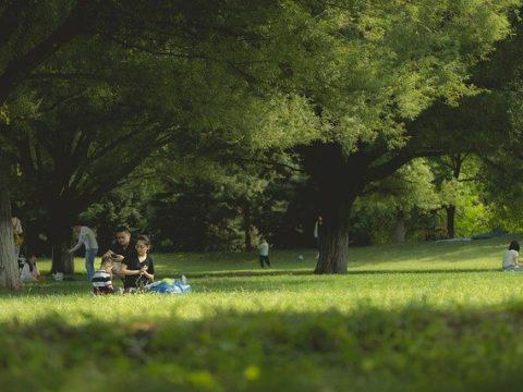 Einsatzbericht: Aufklärung eines Betrugsfalles mit gefälschtem Gemälde